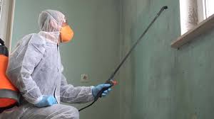 Mold Remediation for Rental Properties in Paisley, FL