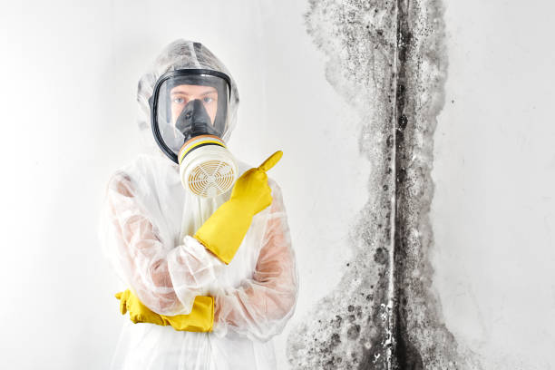 Best Biohazard Mold Removal  in Paisley, FL