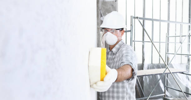 Reliable Paisley, FL Mold Removal & Remediation Solutions