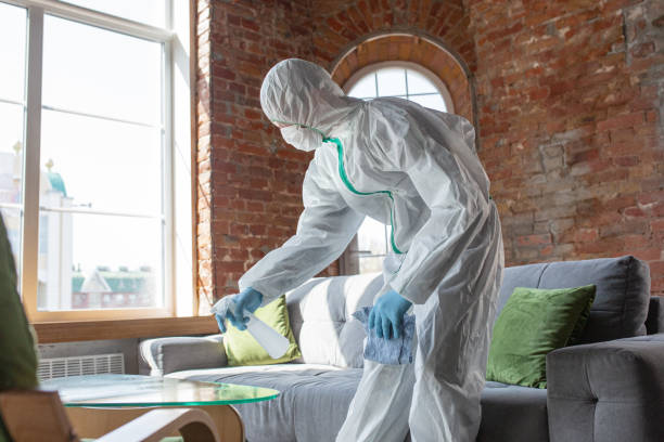 Best Comprehensive Air Testing for Mold Contaminants  in Paisley, FL